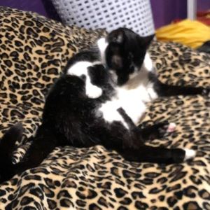 Meet your Posher, Nathan